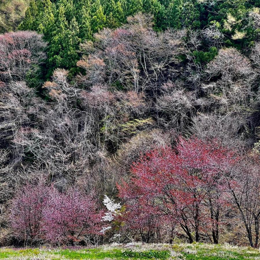 Hotel Sejour Mint In Hakuba Dış mekan fotoğraf