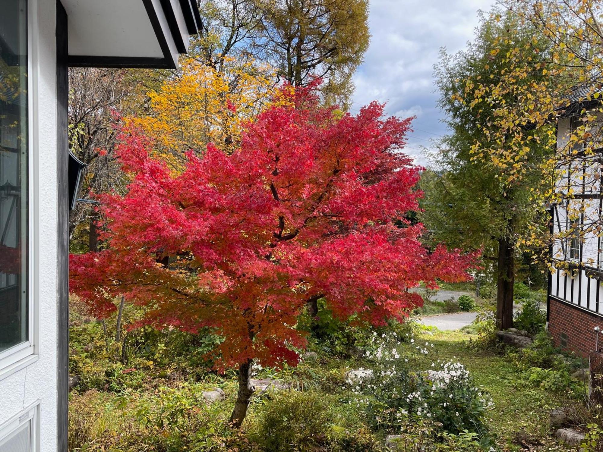 Hotel Sejour Mint In Hakuba Dış mekan fotoğraf